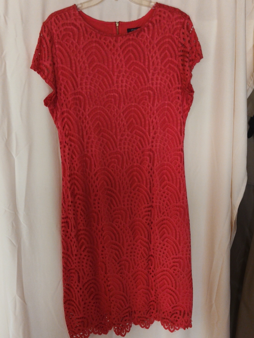 Sharagano Coral-Orange Lace Shift Dress